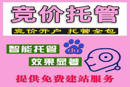 SEM营销案例：品牌知名度提升之路